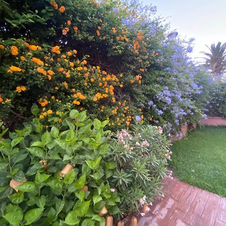 Apartamento Jardin Sanlucar Sanlúcar de Barrameda Exterior foto